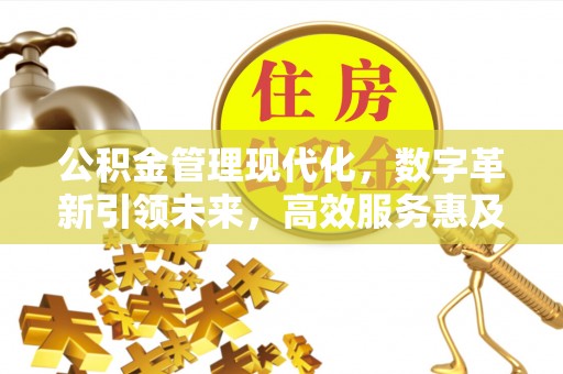 龙海公积金管理现代化，数字革新引领未来，高效服务惠及民生