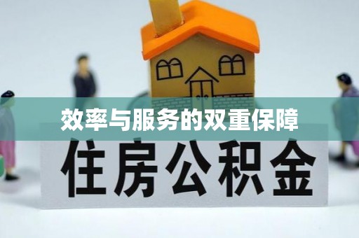淅川效率与服务的双重保障