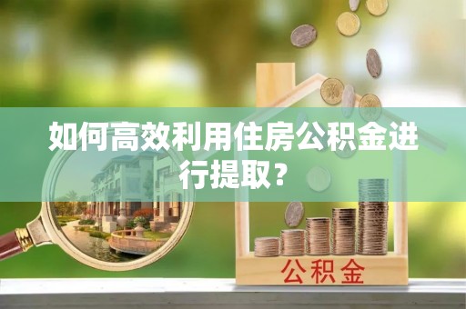 双鸭山如何高效利用住房公积金进行提取？