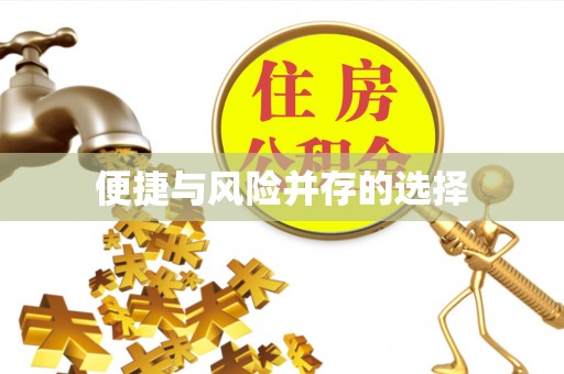 新华便捷与风险并存的选择
