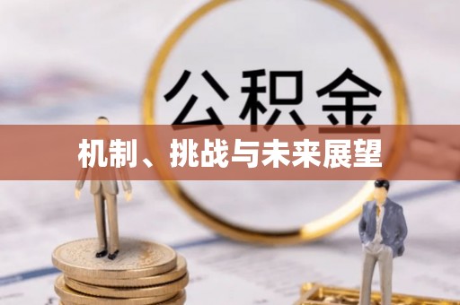 丛台机制、挑战与未来展望
