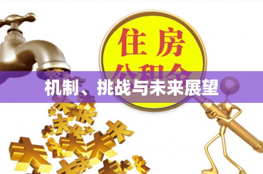 桐城机制、挑战与未来展望