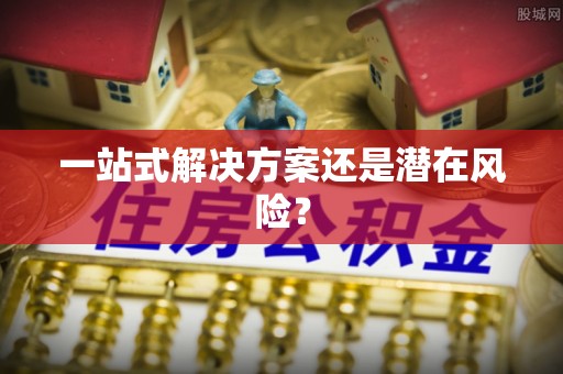渭滨一站式解决方案还是潜在风险？